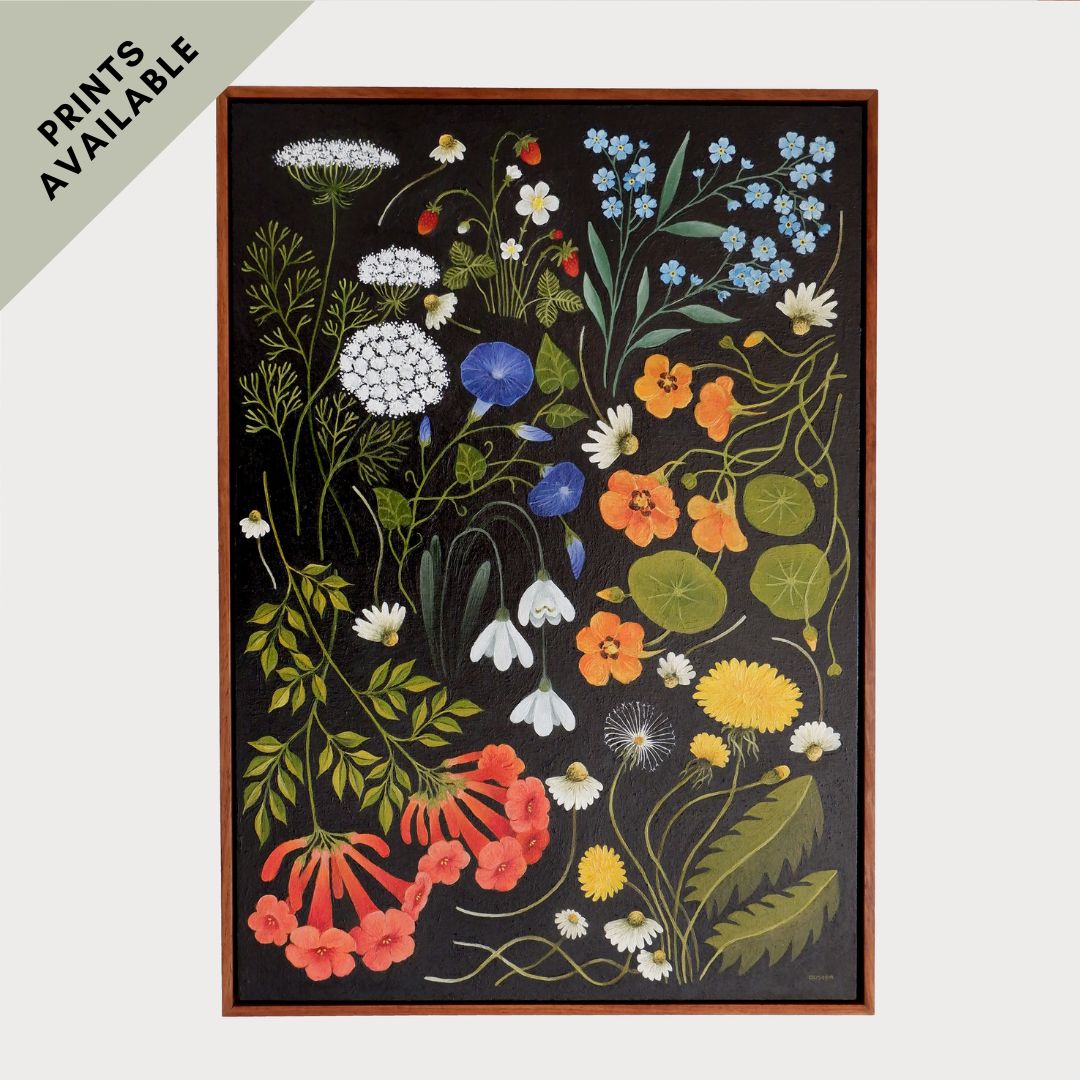 Wildflower Catalogue