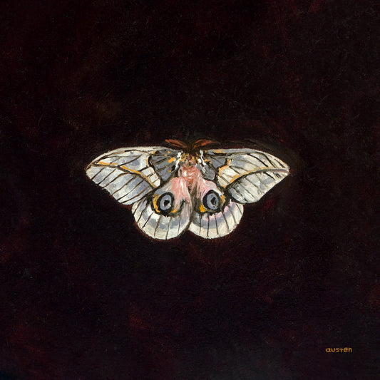 Automeris Frankae Moth - Fine Art Print