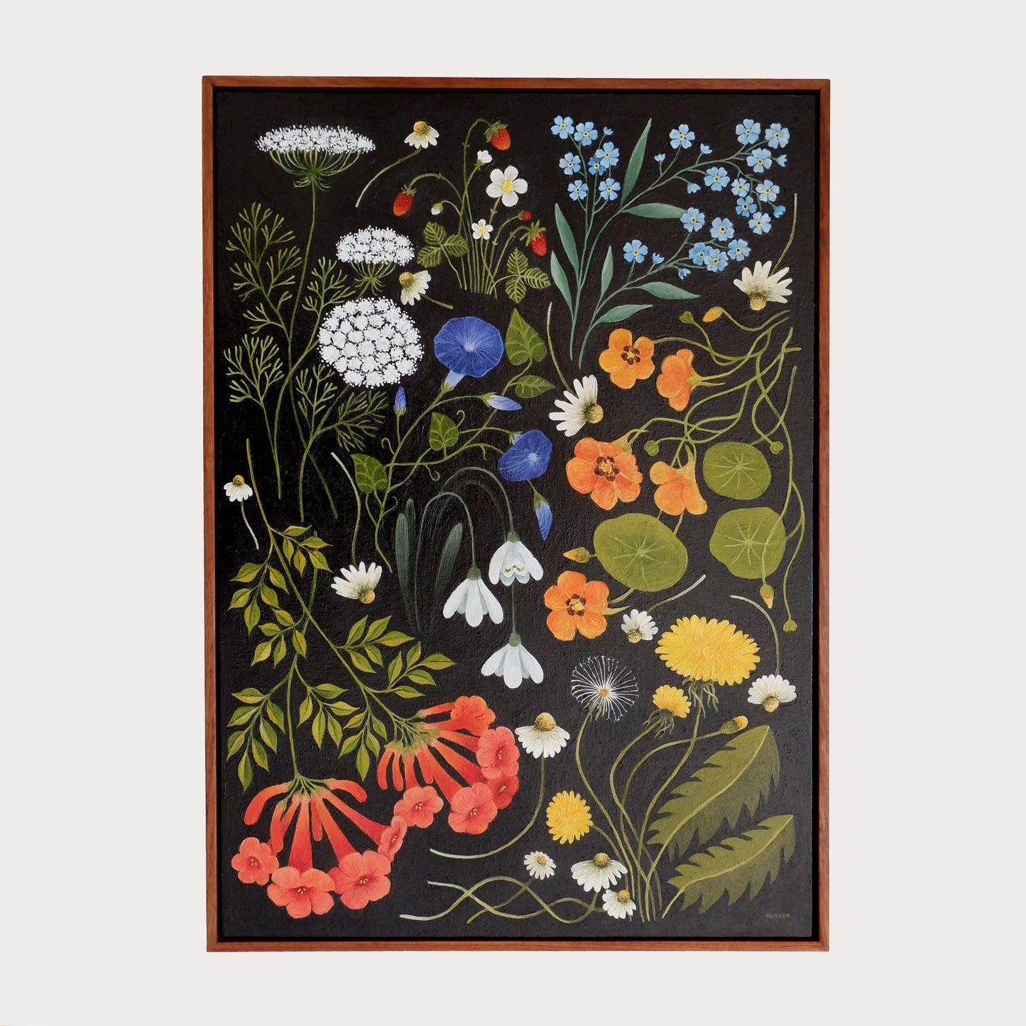 Wildflower Catalogue - Fine Art Print