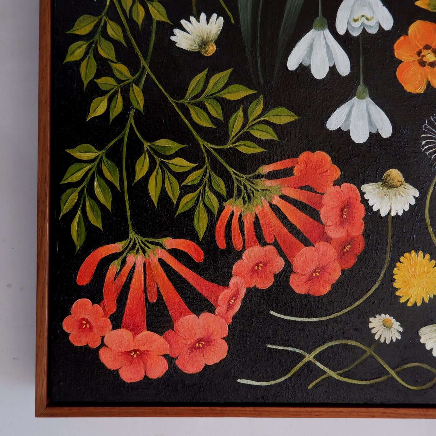 Wildflower Catalogue