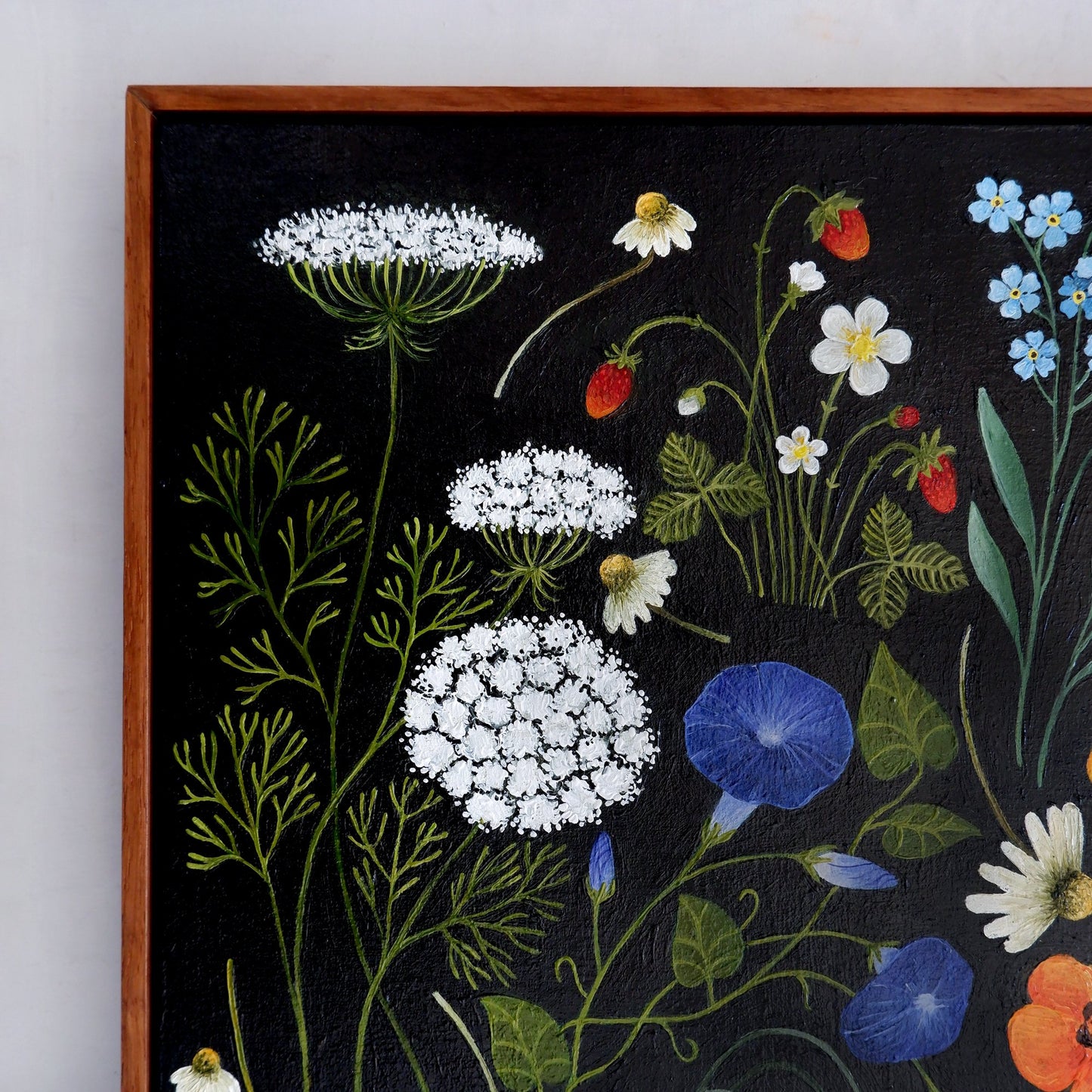 Wildflower Catalogue