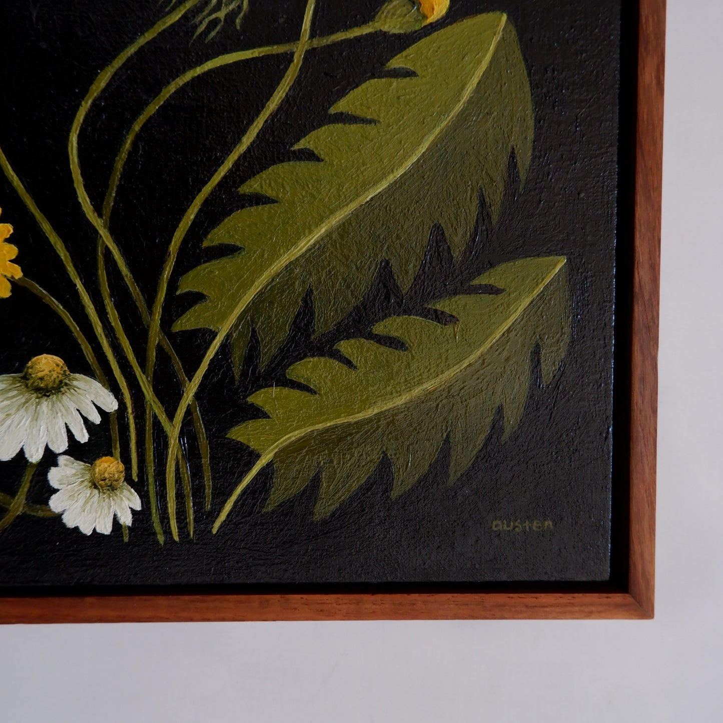 Wildflower Catalogue