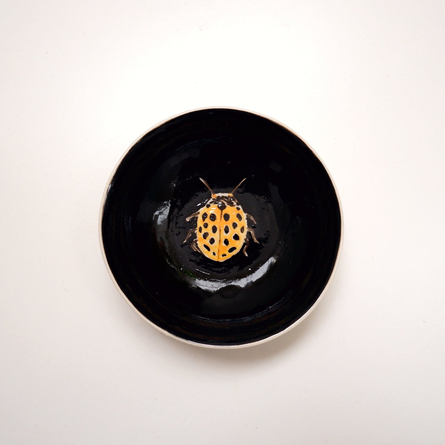 About Nature Ceramic Bowls