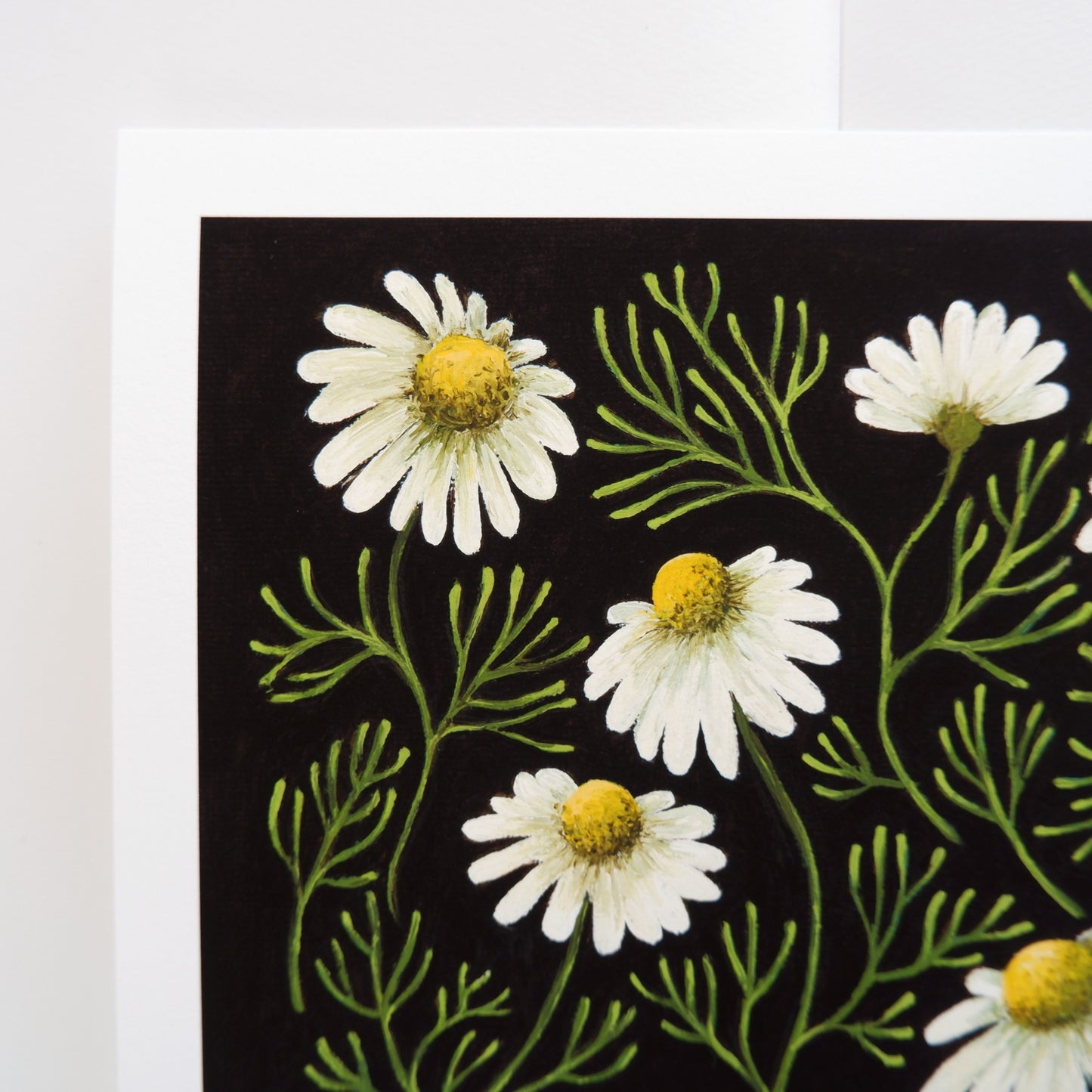 Chamomile Forest - Fine Art Print