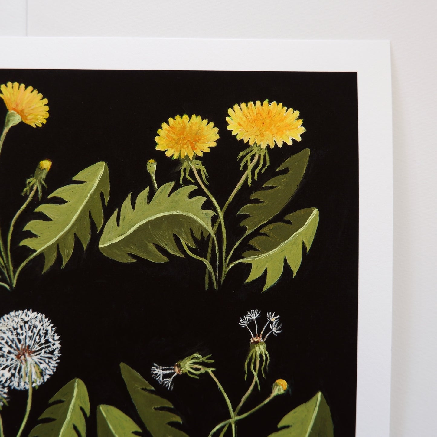 Dandelion Journey - Fine Art Print