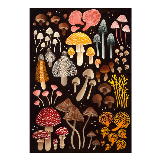 Mushroom Catalogue - Fine art print