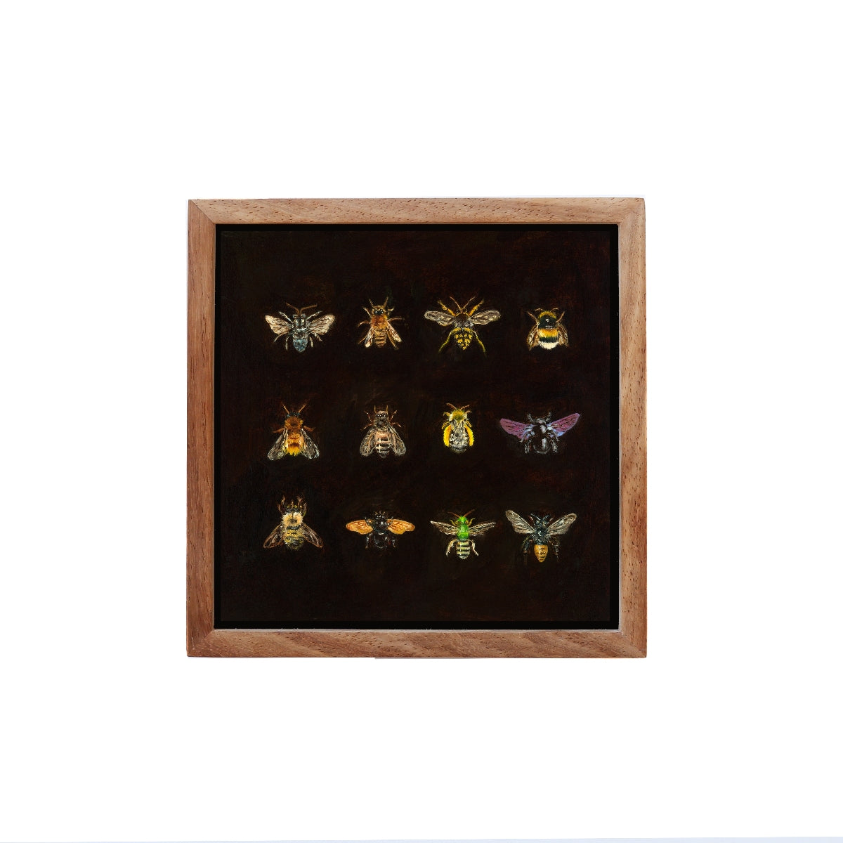 Bee Catalogue - Fine art print