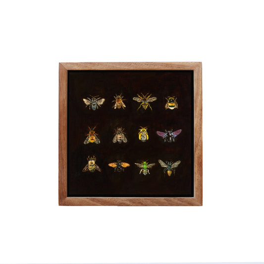 Bee Catalogue - Fine art print