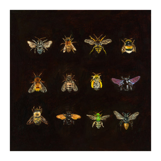 Bee Catalogue - Fine art print