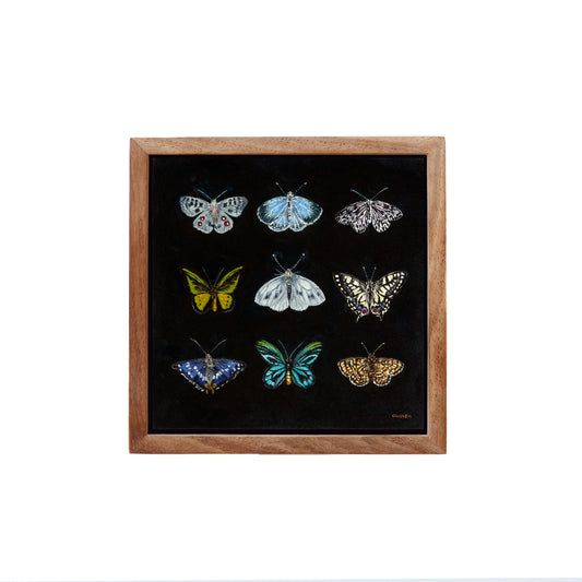 Butterfly Catalogue i - Fine art print
