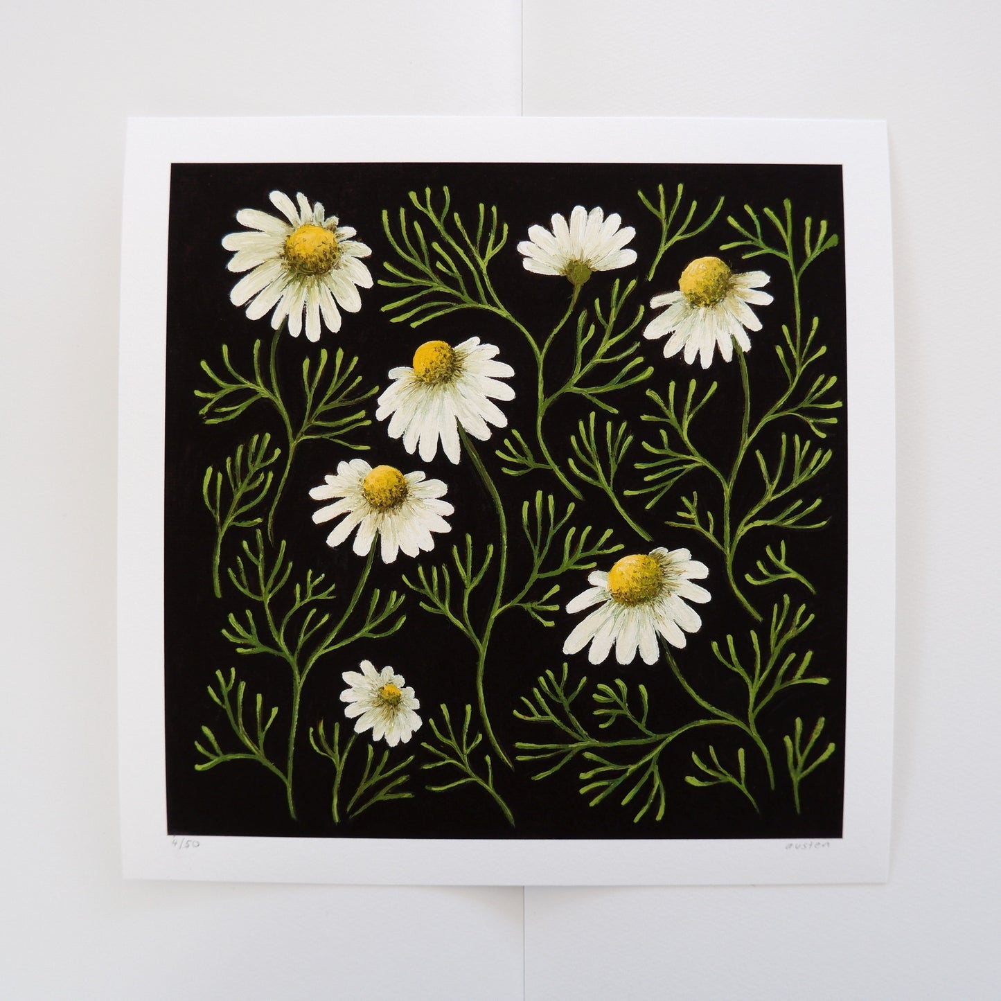 Chamomile Forest - Fine Art Print