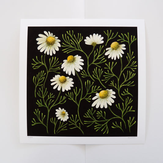 Chamomile Forest - Fine Art Print