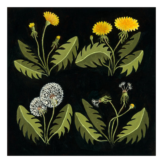 Dandelion Journey - Fine Art Print