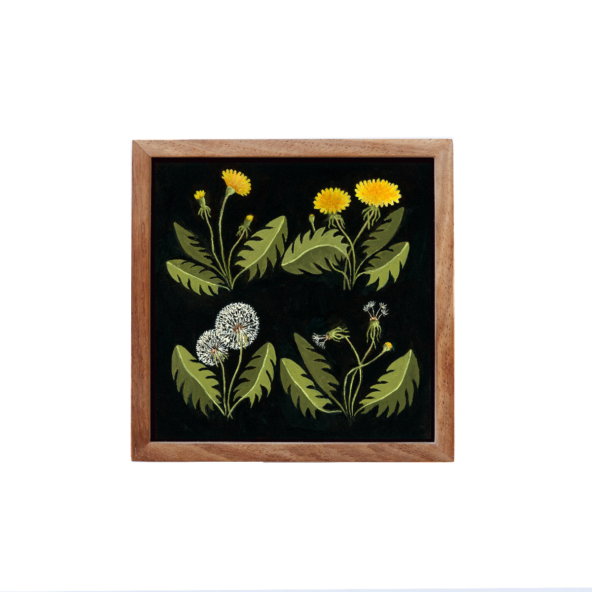 Dandelion Journey - Fine Art Print