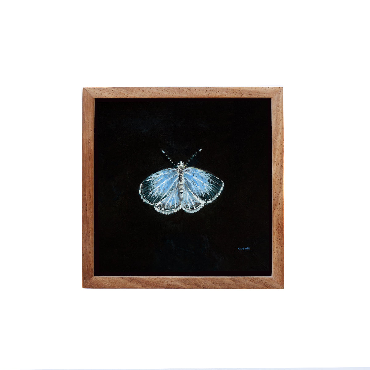 Holly Blue Butterfly - Fine Art Print