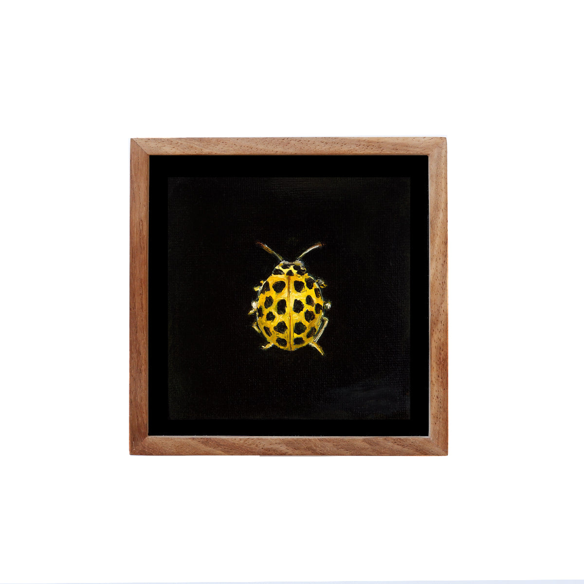 Mini Ladybird - Fine art print