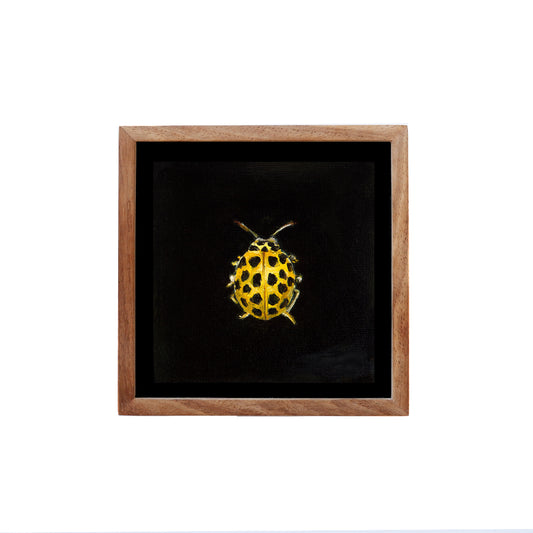 Mini Ladybird - Fine art print