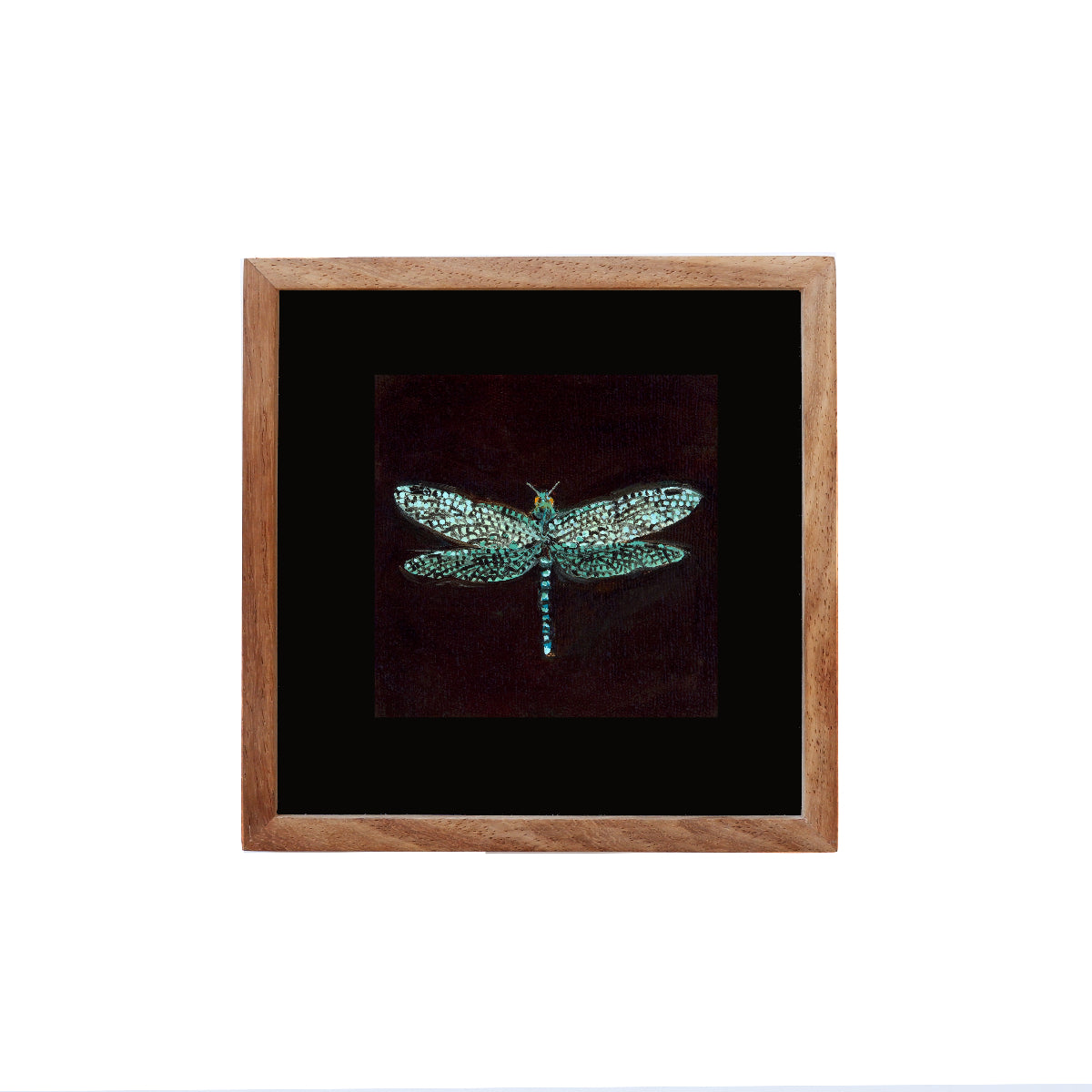 Mini Dragonfly - Fine Art Print