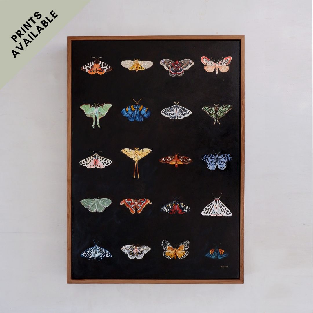 Moth Catalogue