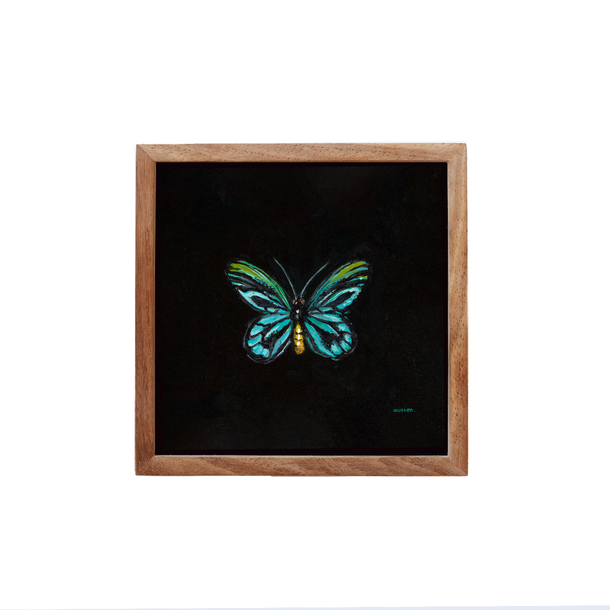 Queen Alexandra's Birdwing Butterfly - Fine Art Print