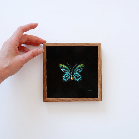 Queen Alexandra's Birdwing Butterfly - Fine Art Print