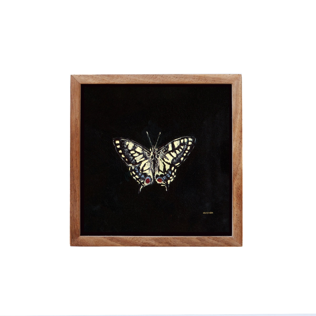 Swallowtail Butterfly - Fine Art Print