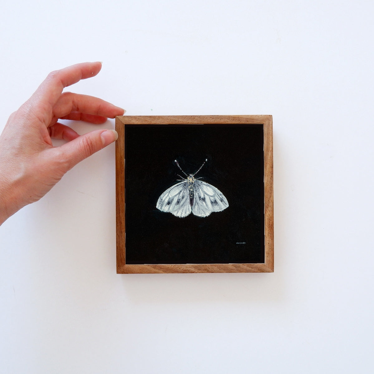 Green Veined White Butterfly - Fine Art Print