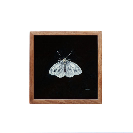 Green Veined White Butterfly - Fine Art Print