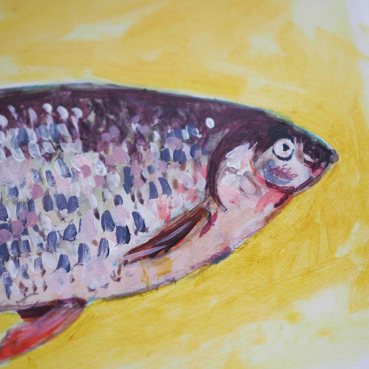 52 Week Project - Week 3 / 52