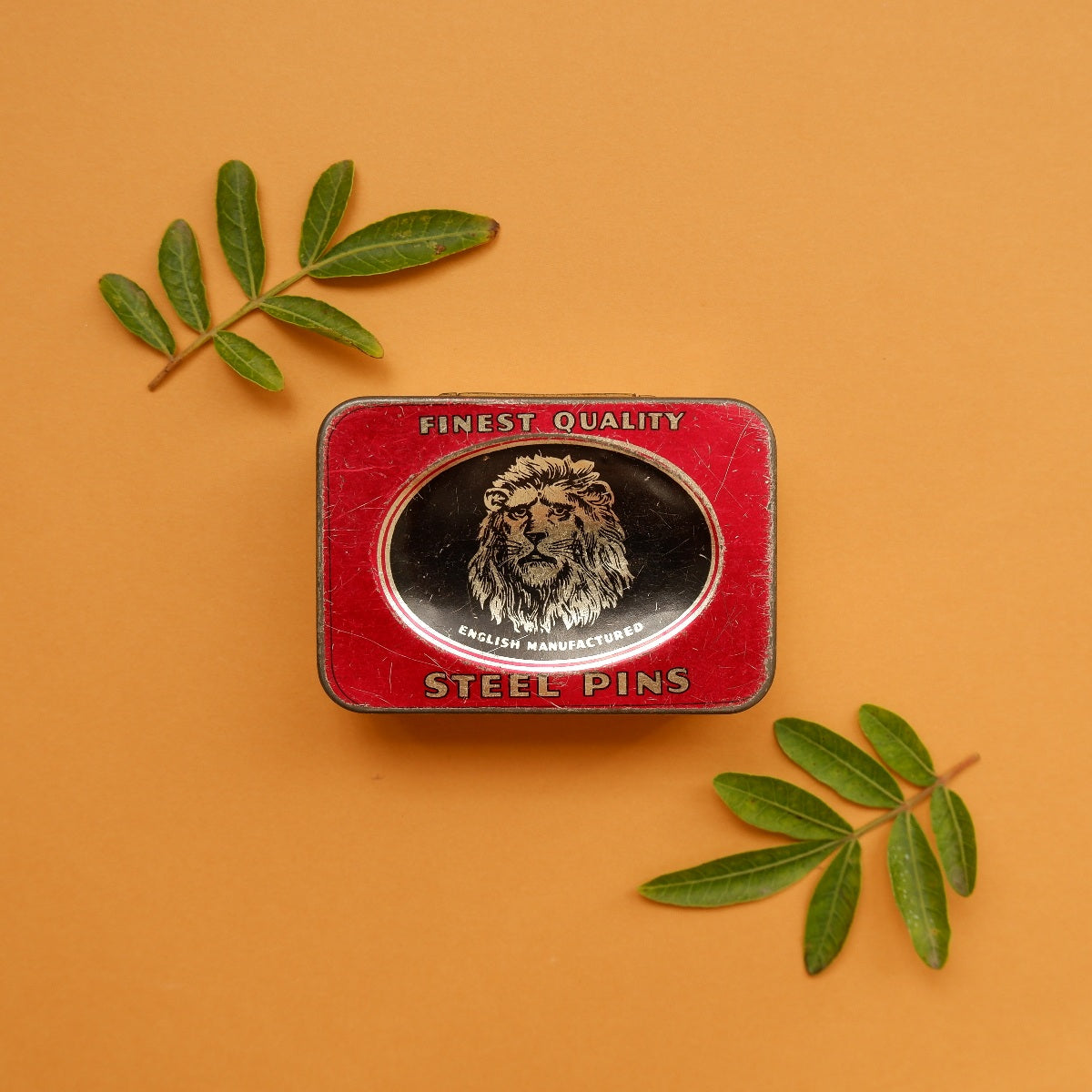Steel Pin paint tin