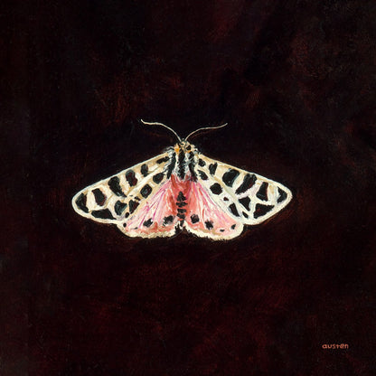 Nevada Black Tiger Moth - Fine Art Print