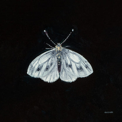 Green Veined White Butterfly - Fine Art Print