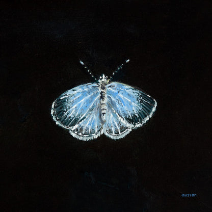 Holly Blue Butterfly - Fine Art Print
