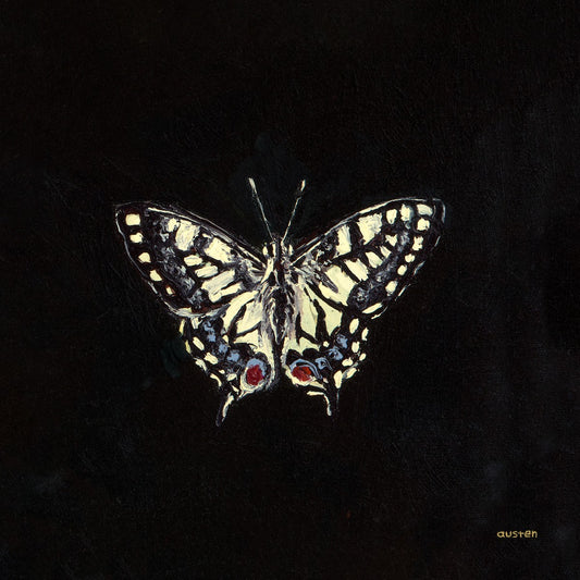 Swallowtail Butterfly - Fine Art Print