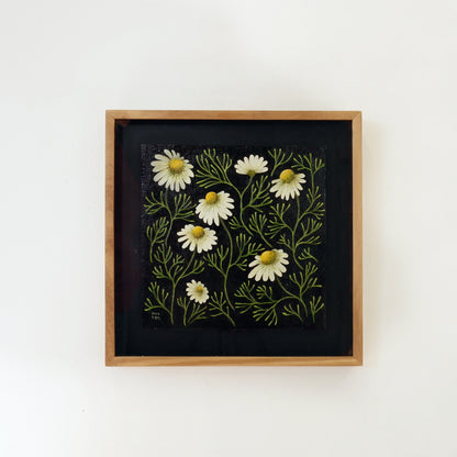 Chamomile Forest