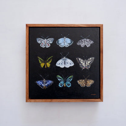 Butterfly Catalogue i - Fine art print