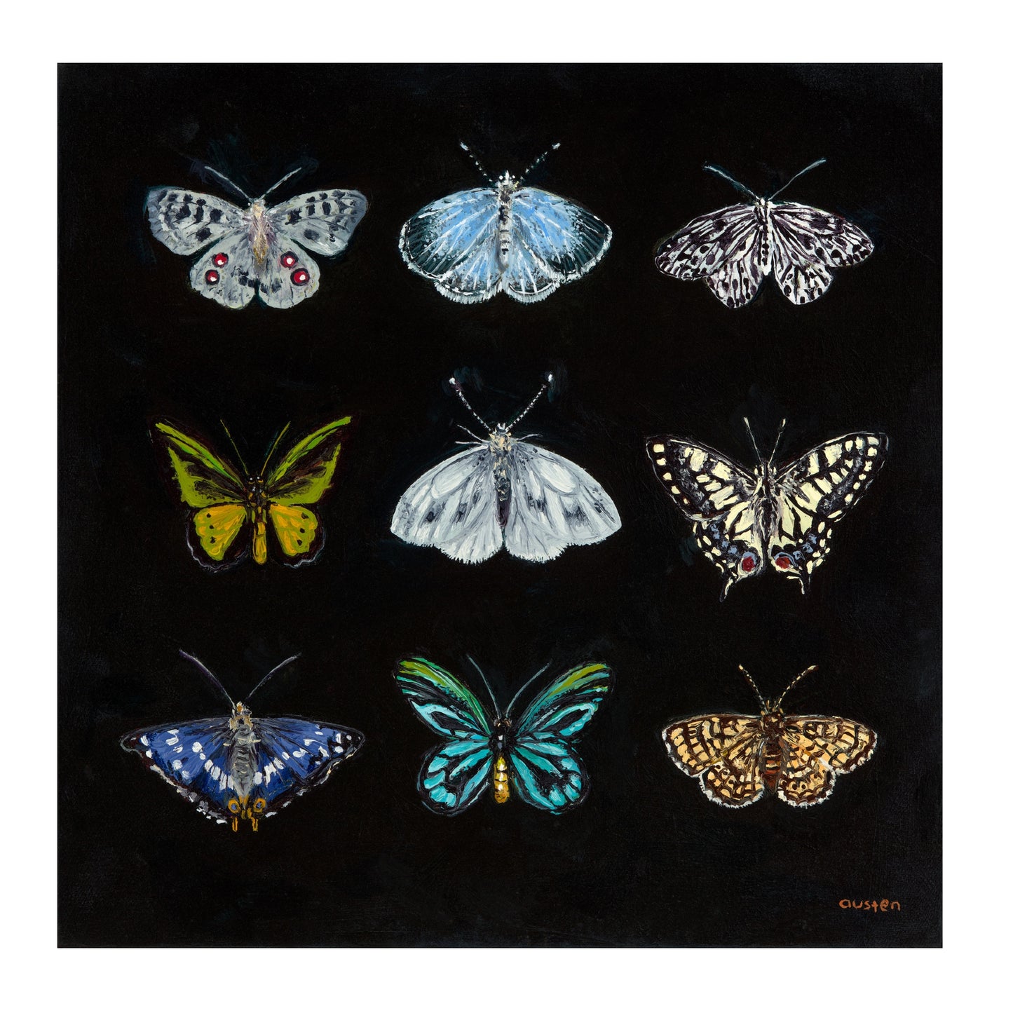 Butterfly Catalogue i - Fine art print