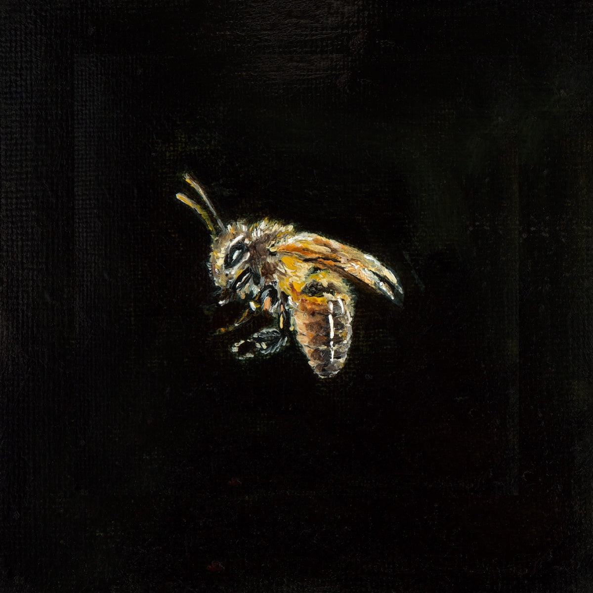 Mini Bee - Art Print