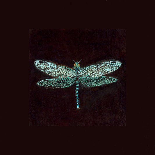 Mini Dragonfly - Fine Art Print