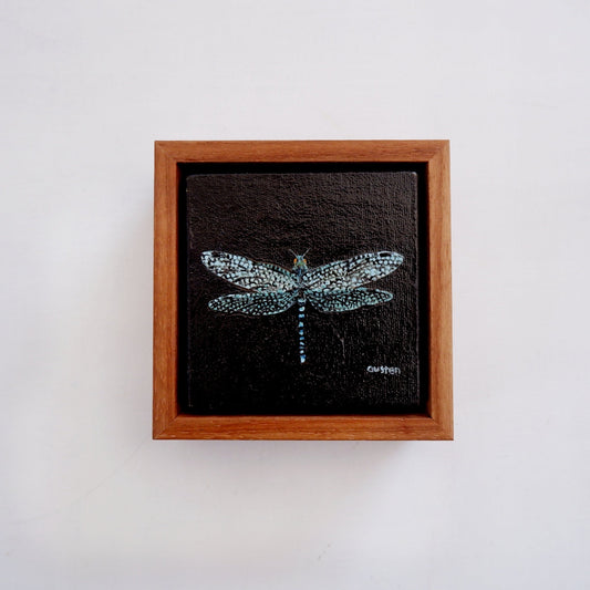 Mini Dragonfly