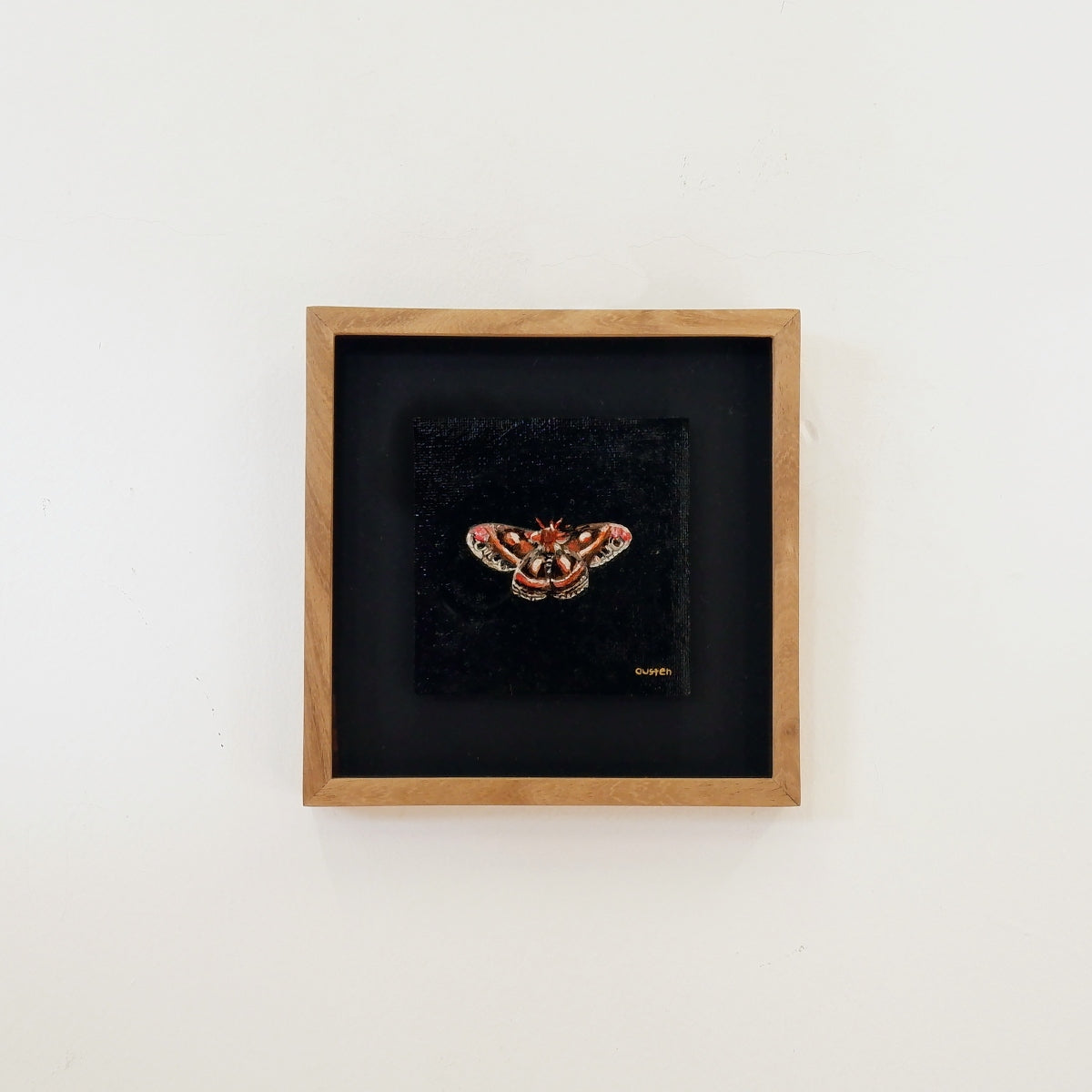 Mini moth
