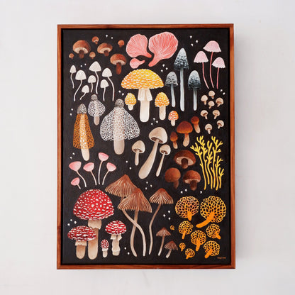 Mushroom Catalogue