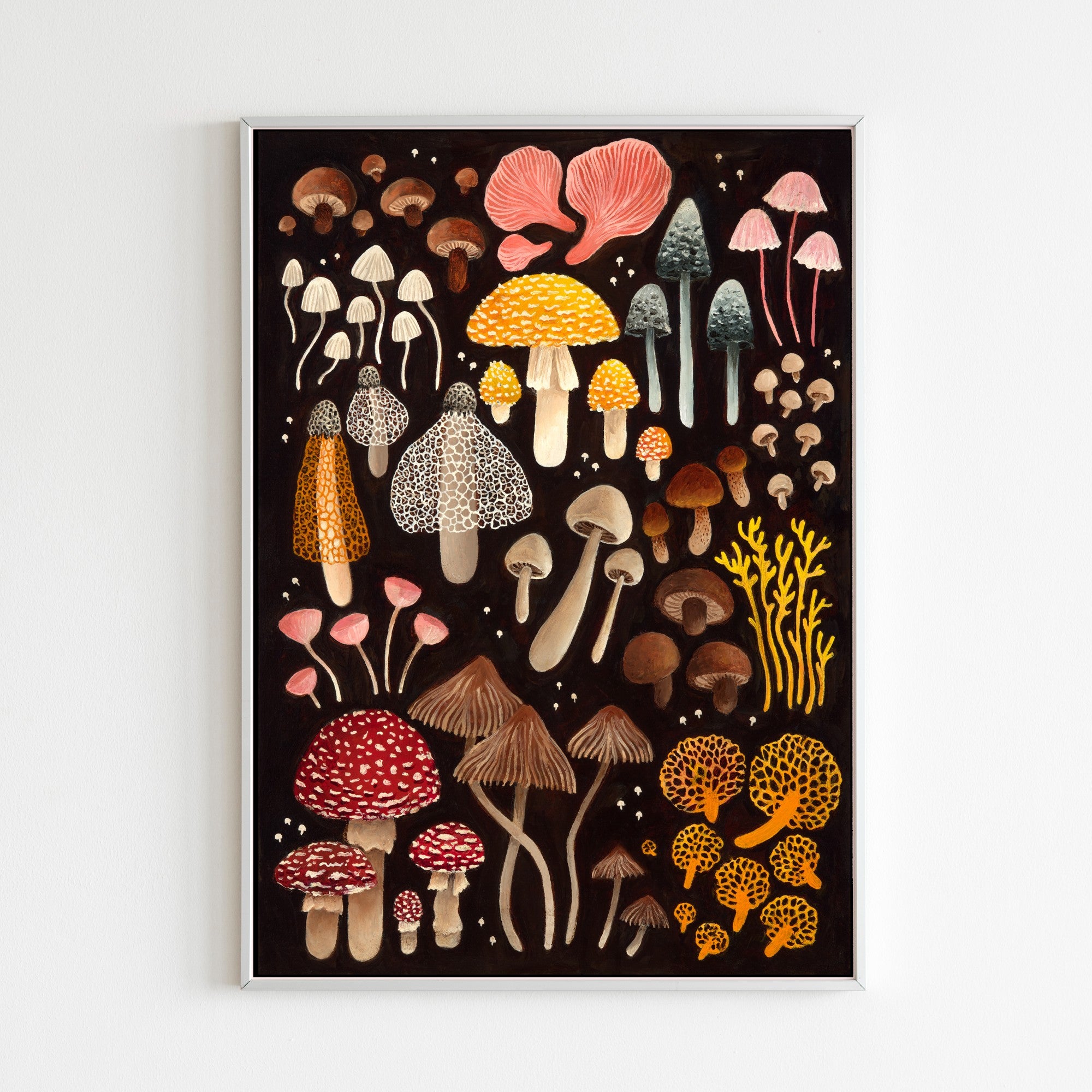 Mushroom Catalogue - Fine art print – Austen Gordon Studio