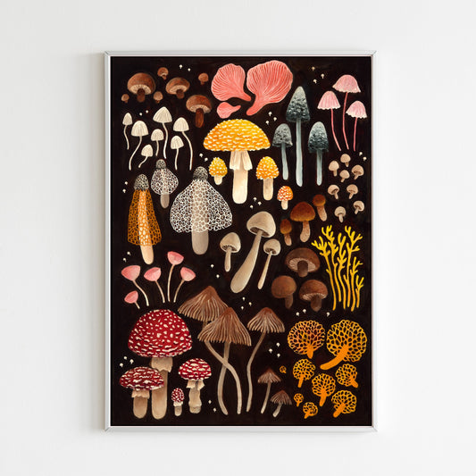 Mushroom Catalogue - Fine art print