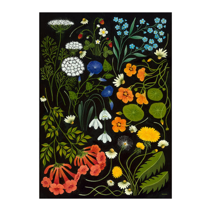 Wildflower Catalogue - Fine Art Print