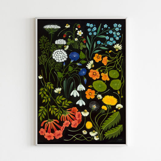 Wildflower Catalogue - Fine Art Print